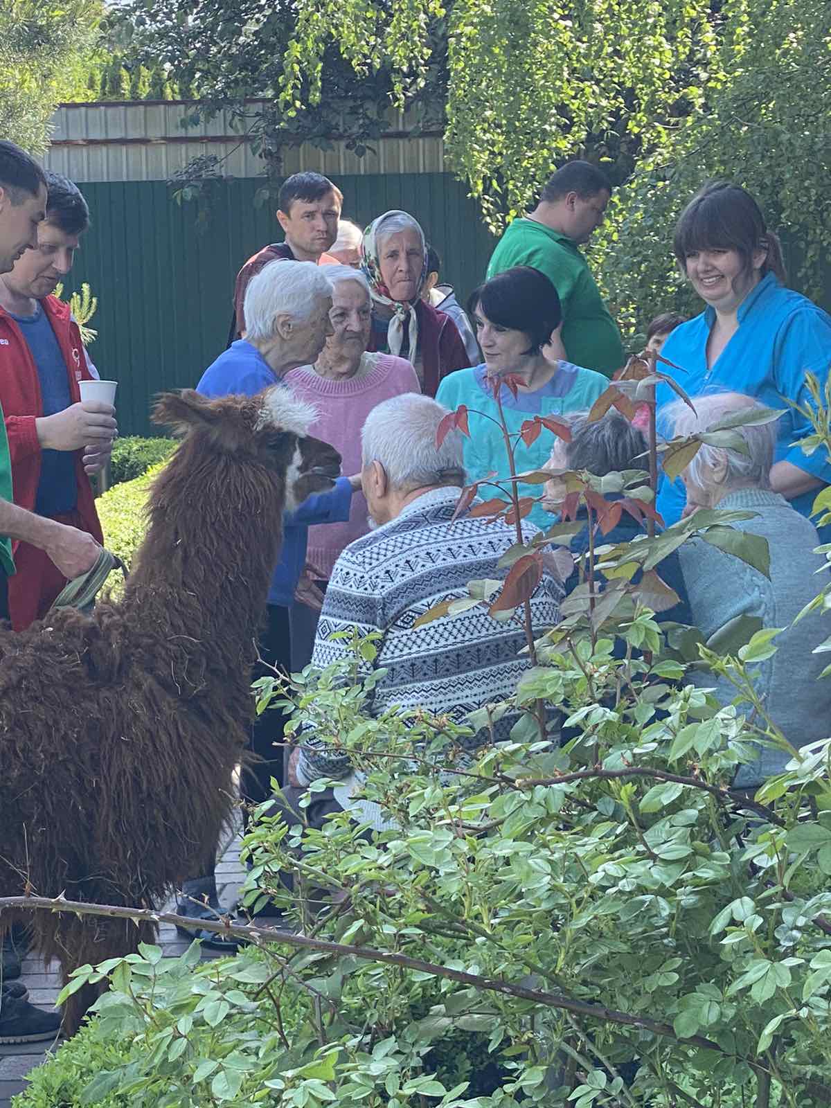 Дом престарелых - проживание только днем!