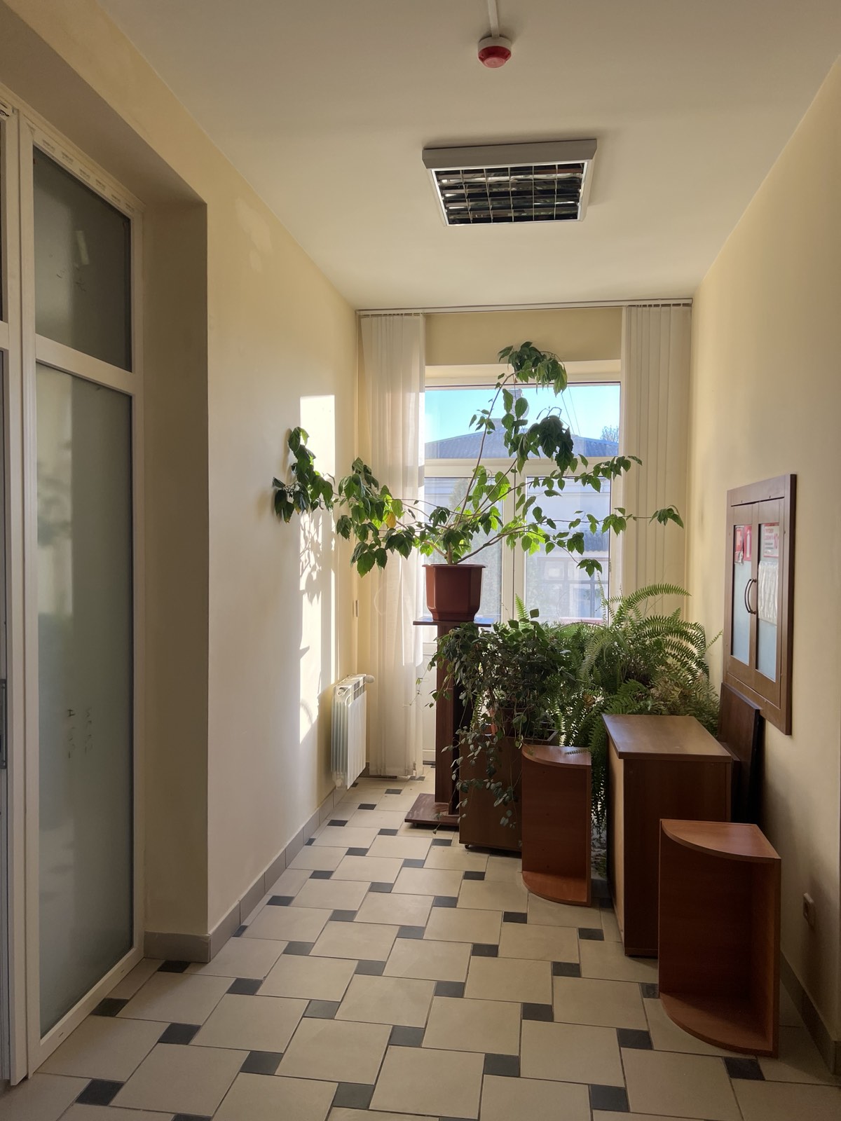 Як повідомити про переїзд до закладу для людей похилого віку: 5 головних порад